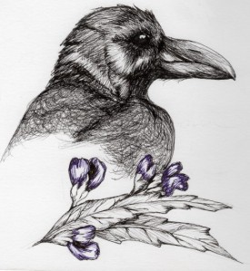 crow with sage flowers/leaves